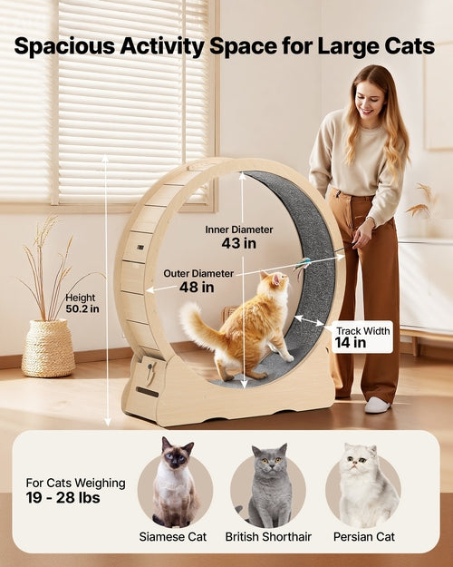 Cat Exercise Wheel, 120cm Wooden Cat Running Wheel for Indoor Cats up