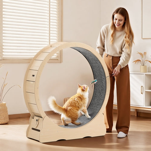 Cat Exercise Wheel, 120cm Wooden Cat Running Wheel for Indoor Cats up